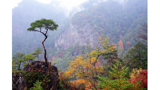 鳳來寺山