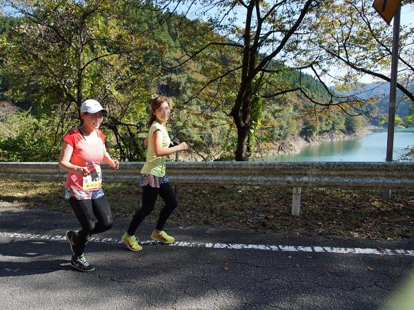 Toyone-Midoriko Half Marathon