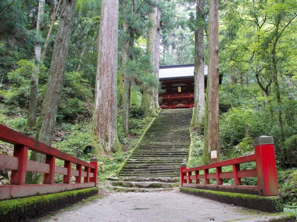 The Niomon gate nestled in the forest.